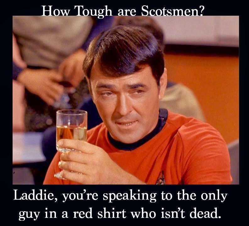 10 Funny Memes That Will Make You Appreciate Star Trek's ...